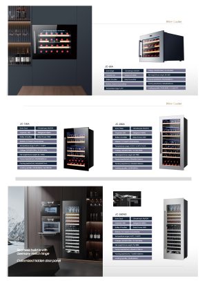 BC-100 Solar DC Refrigerator BC-100 — 100L