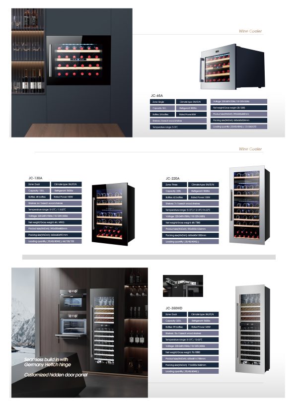Solar DC Refrigerator BC-100 — 100L