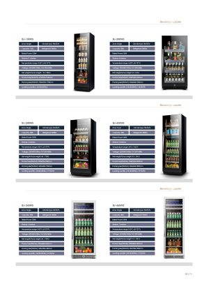 BCD-80 Solar DC Fridge-Freezer BCD-80 — 80L